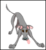 Tail wagging gif