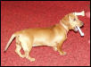Candy with bone