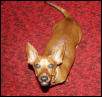 Candy looking up