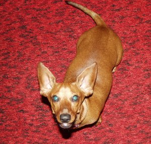 Candy looking up