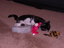 Chloe playing