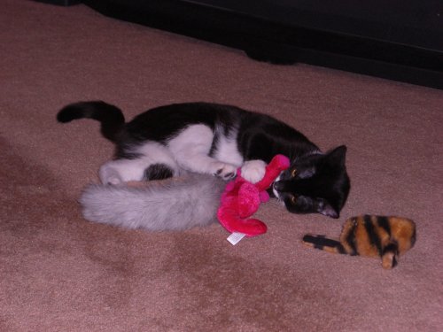Chloe playing