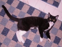 Chloe chilling