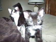 Chloe coming at the camera