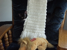Chloe hiding behind scarf on chair