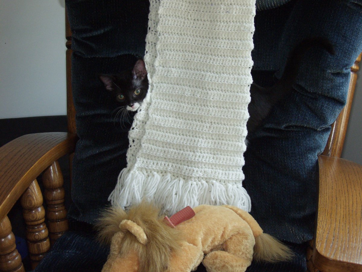 Chloe hiding behind scarf on chair