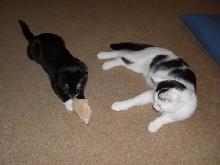 Clark and Chloe