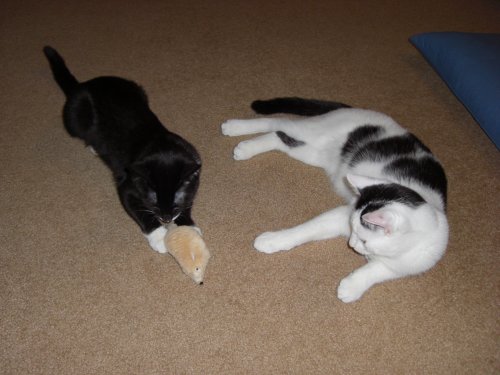 Clark and Chloe