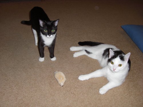Clark and Chloe