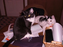 Clark and Chloe always into something