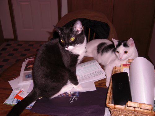 Clark and Chloe always into something