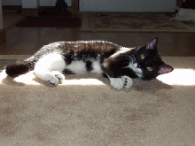 Chloe in the sun