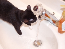 Chloe and water