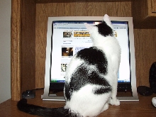 Checking it out