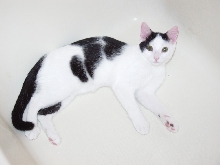 Clark in the bathtub