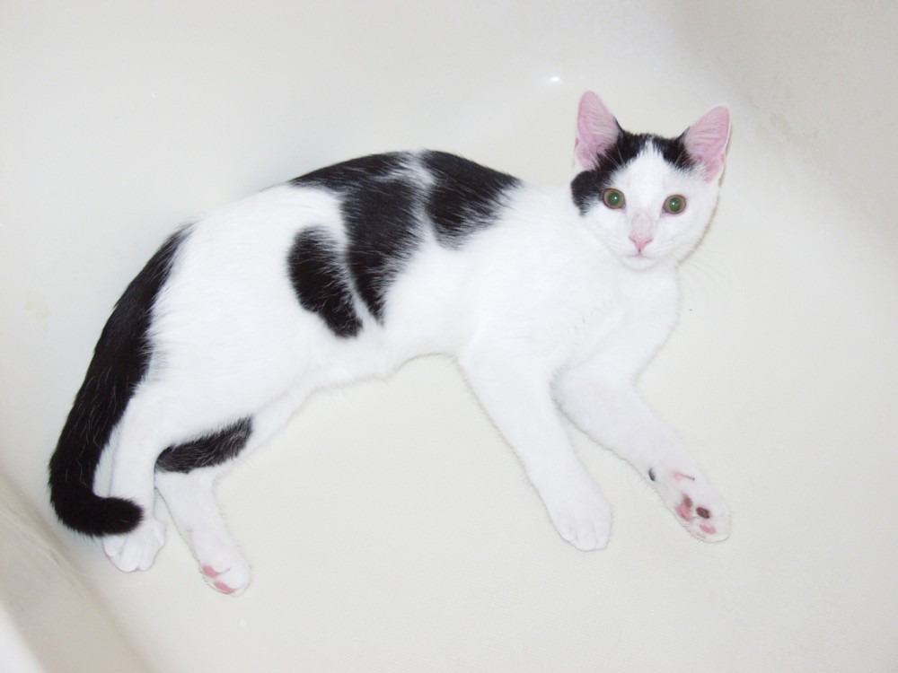 Clark in the bathtub