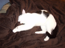 Clark sucking on blanket
