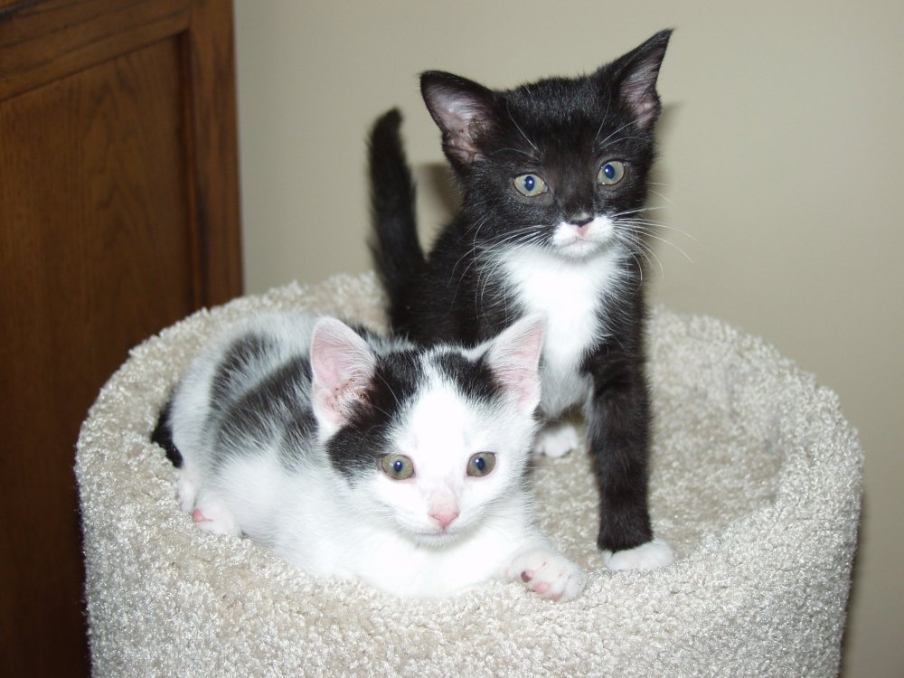 Clark and Chloe