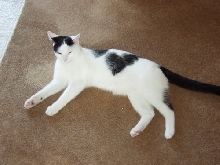 Clark's heart