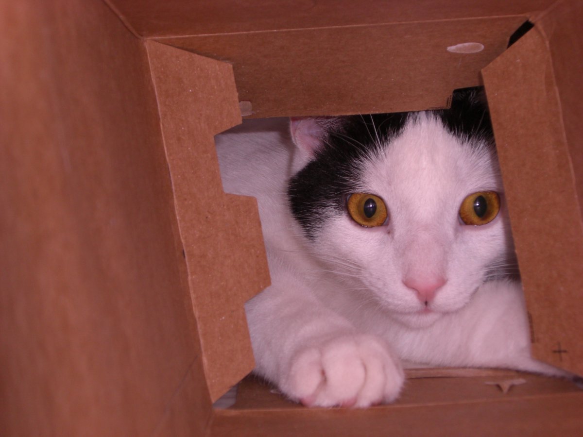 Clark in box