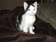 Clark on the bed