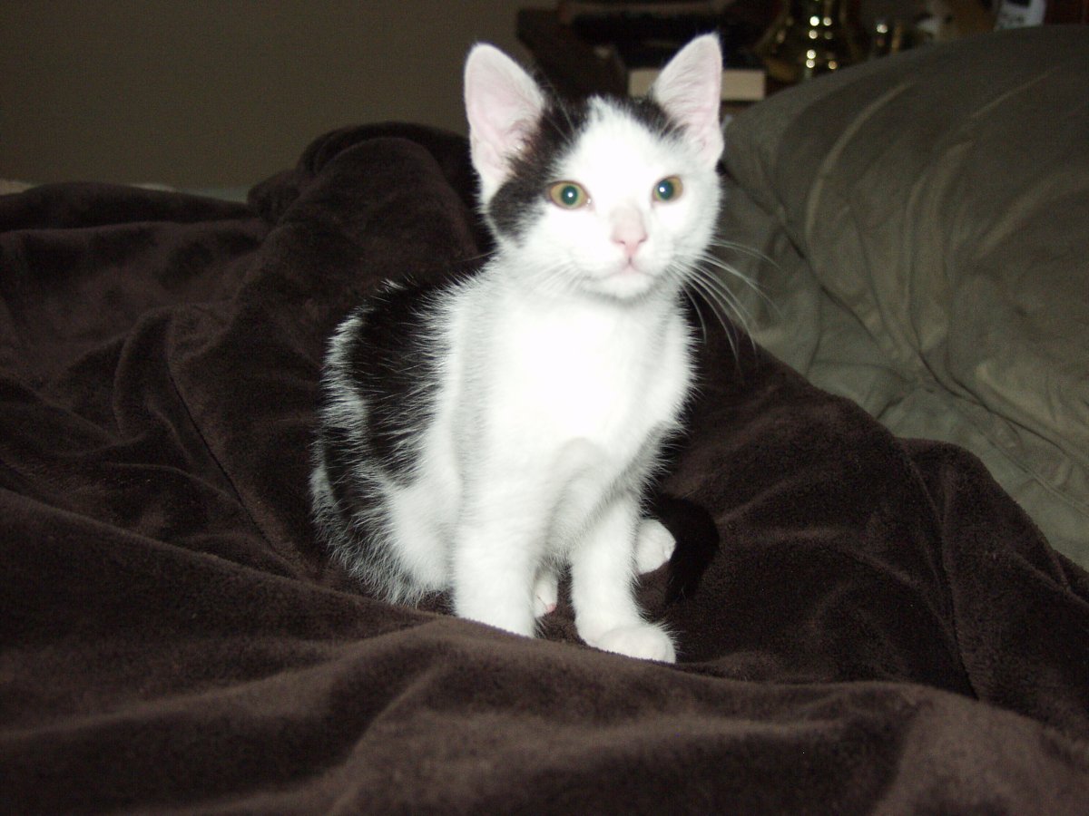 Clark on the bed