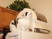 Up high