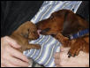 Candy and dad