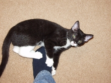 Foot attack!