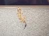 Leopard Gecko climbing 2