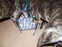 Girls opening gifts