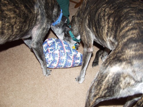 Girls opening gifts