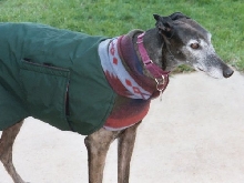 Winter wear