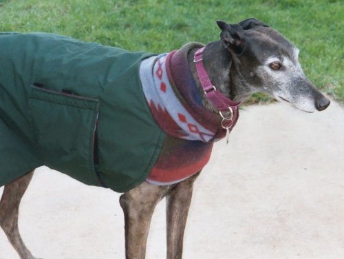 Winter wear