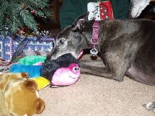 Jadzia with crab