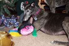 Jadzia with crab