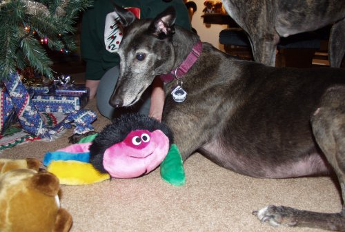 Jadzia with crab