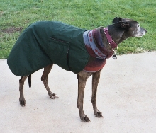 Winter wear