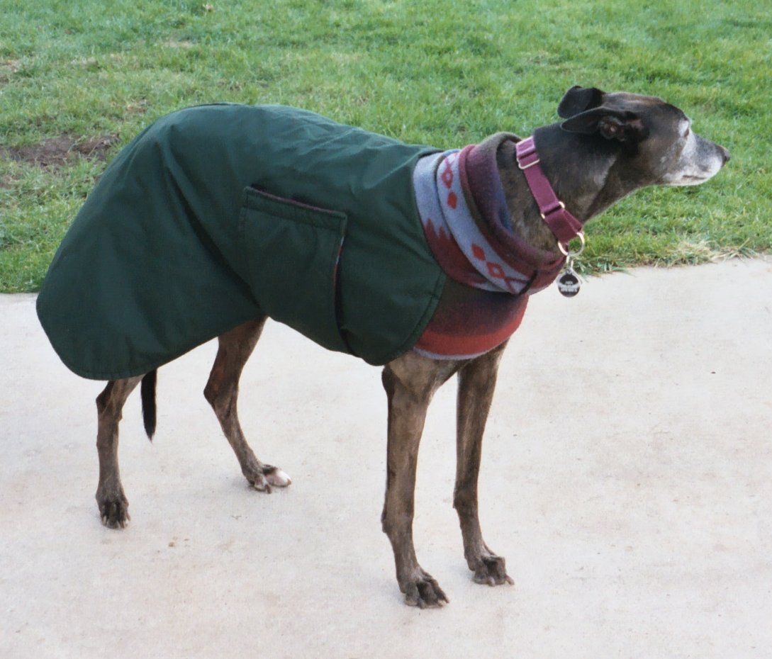 Winter wear