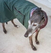 Winter wear