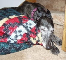 Jadziasleeping