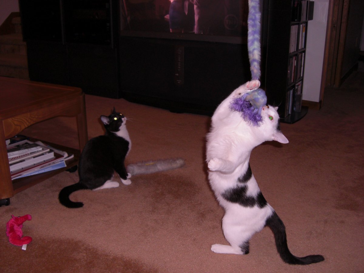 Just Playing