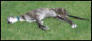 Kira bleaching in the sun