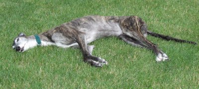 Kira bleaching in the sun