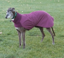 Winter wear
