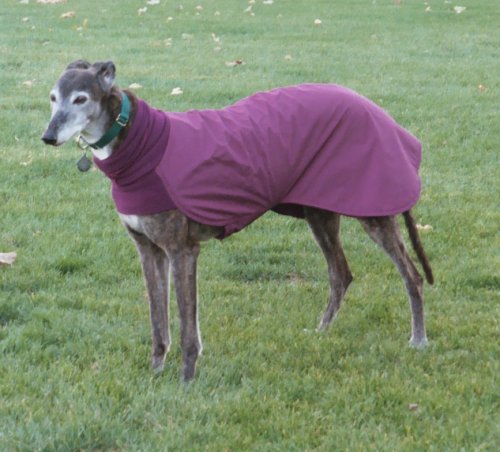 Winter wear