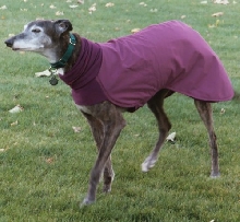 Winter wear