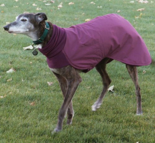 Winter wear