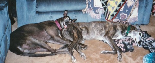 Kira and Jadzia