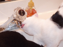 Clark drinking